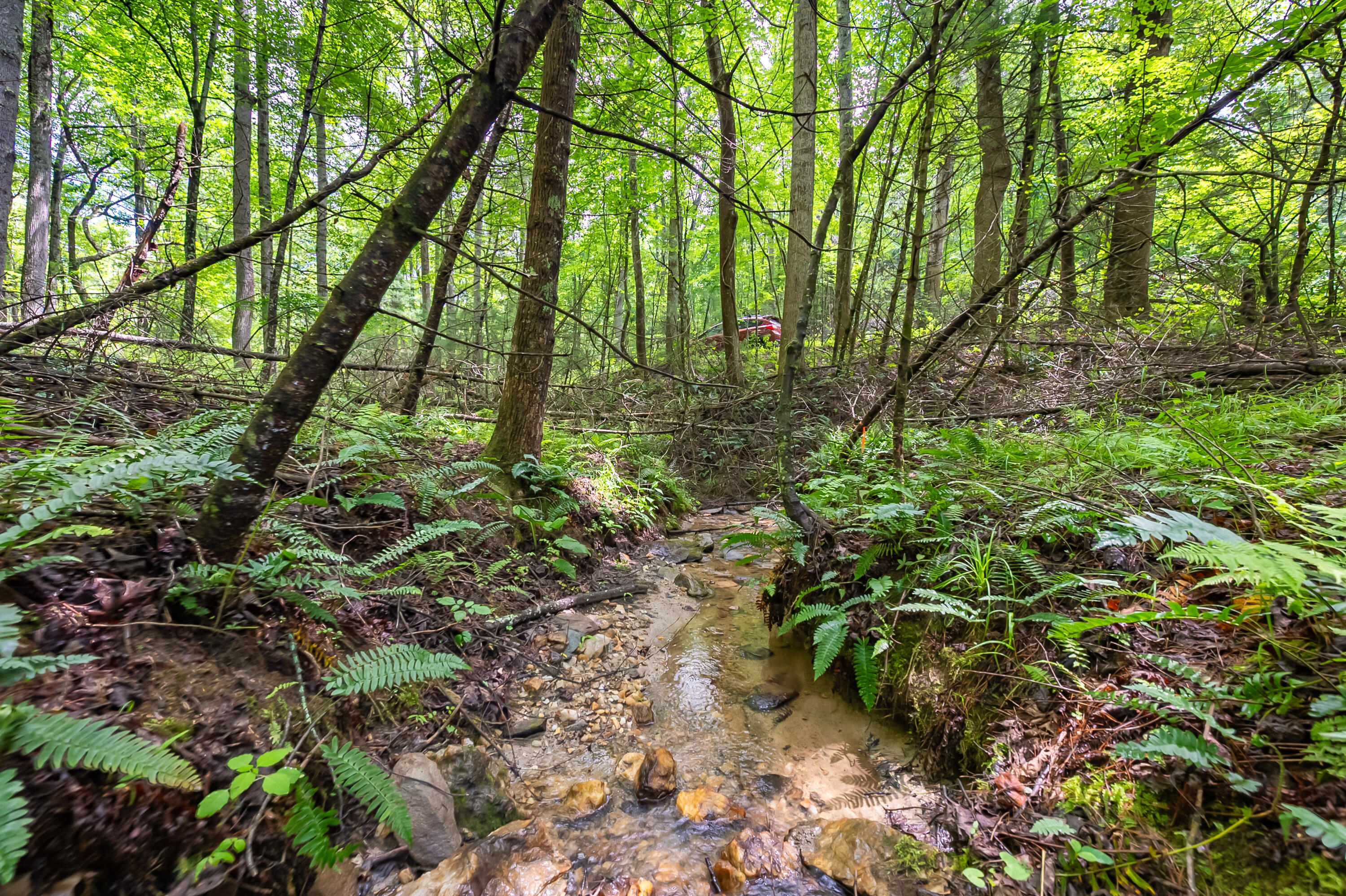 133 Wonder Way Northeast Pilot, VA 24138 - Photo 31 of 57 a backyard of a house with lots of green space