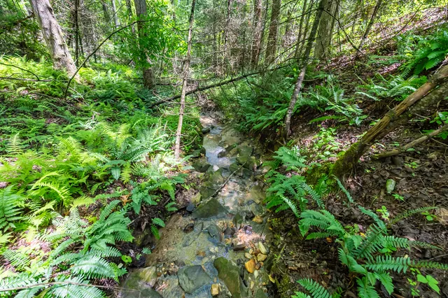 a backyard of a building with lots of green space