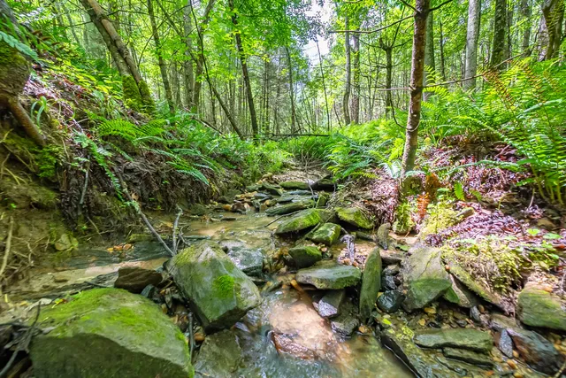 a view of a swimming pool and outdoor space