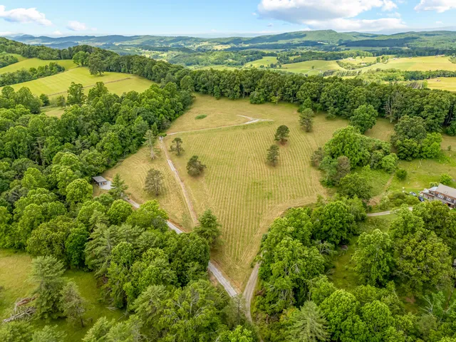 a view of a swimming pool and lake view