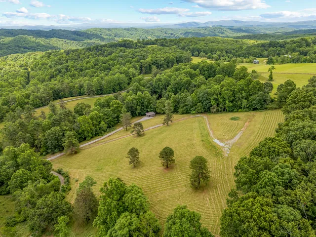 a view of a big yard with lots of green space