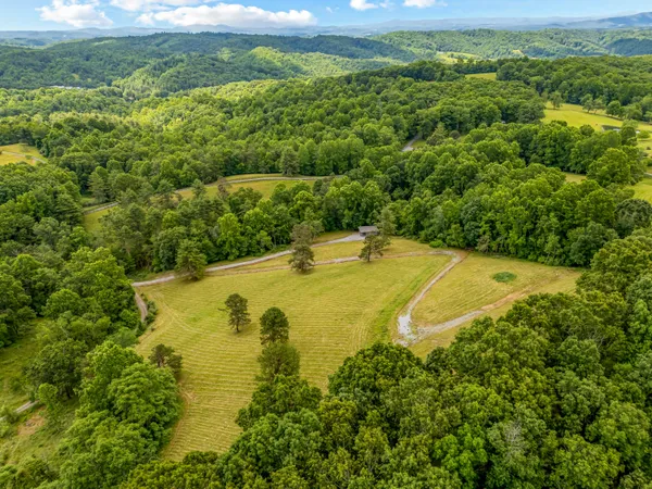 a view of a large yard with green space