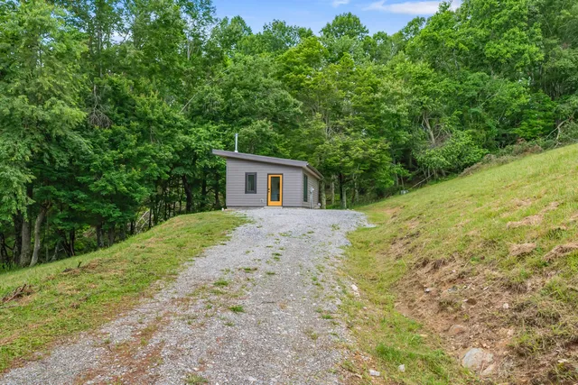 a backyard of a house with plants and large trees