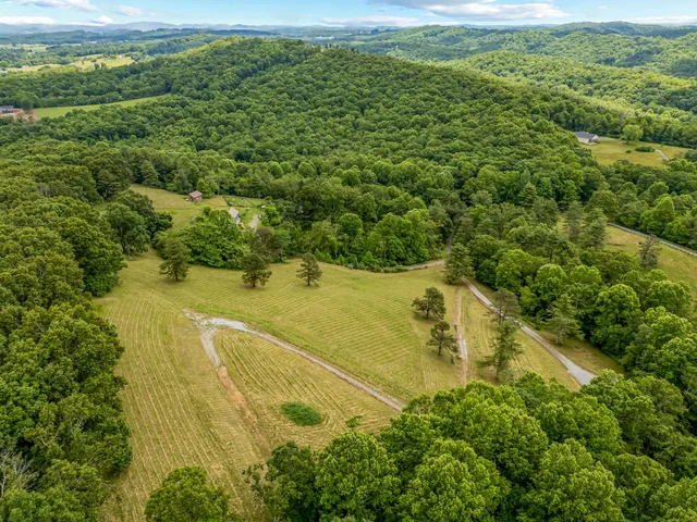 a view of a big yard with large trees