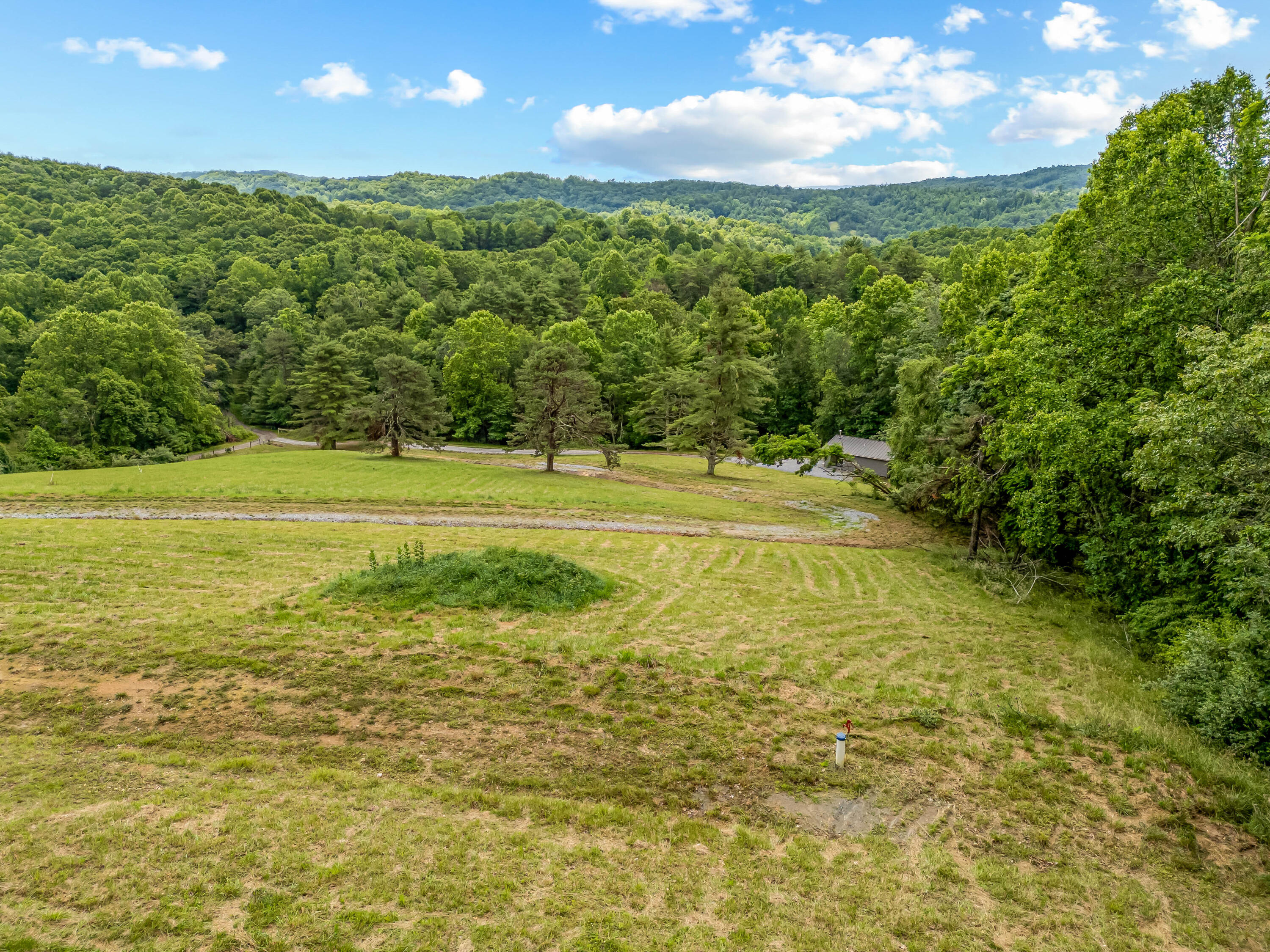 133 Wonder Way Northeast Pilot, VA 24138 - Photo 44 of 57 a view of a big yard with an trees