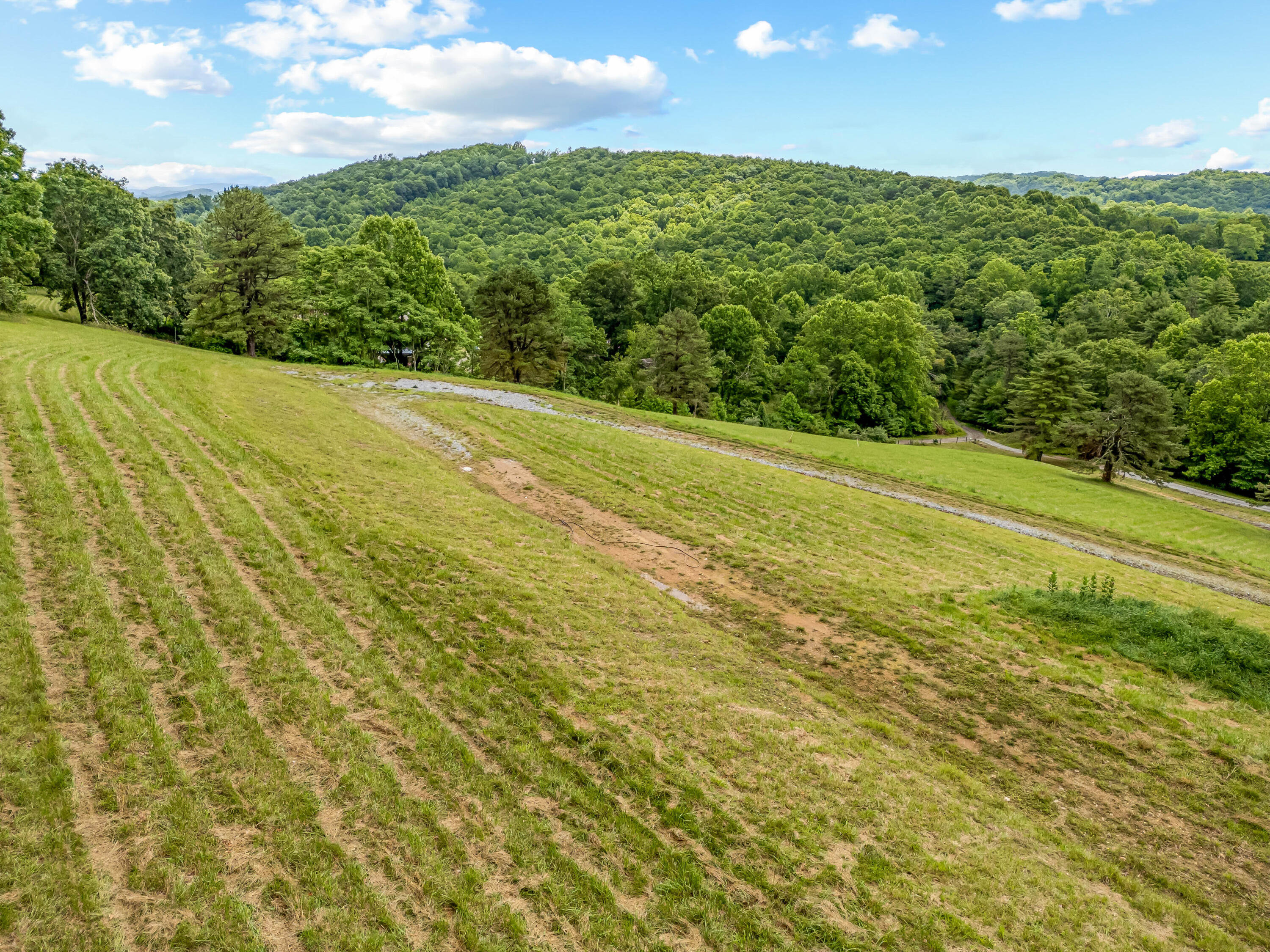 133 Wonder Way Northeast Pilot, VA 24138 - Photo 45 of 57 a view of a yard with an outdoor space
