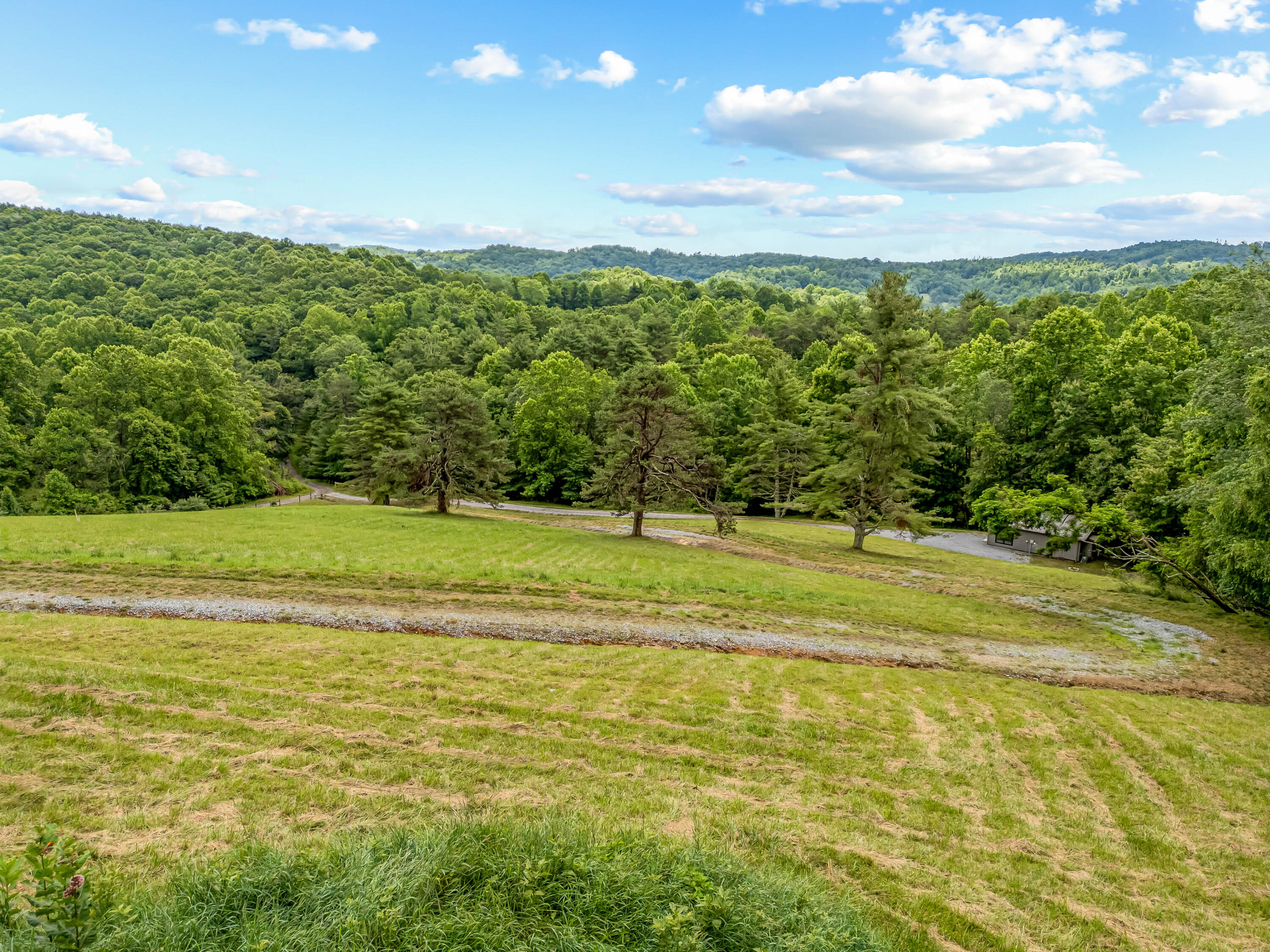 133 Wonder Way Northeast Pilot, VA 24138 - Photo 46 of 57 a view of a big yard with large trees