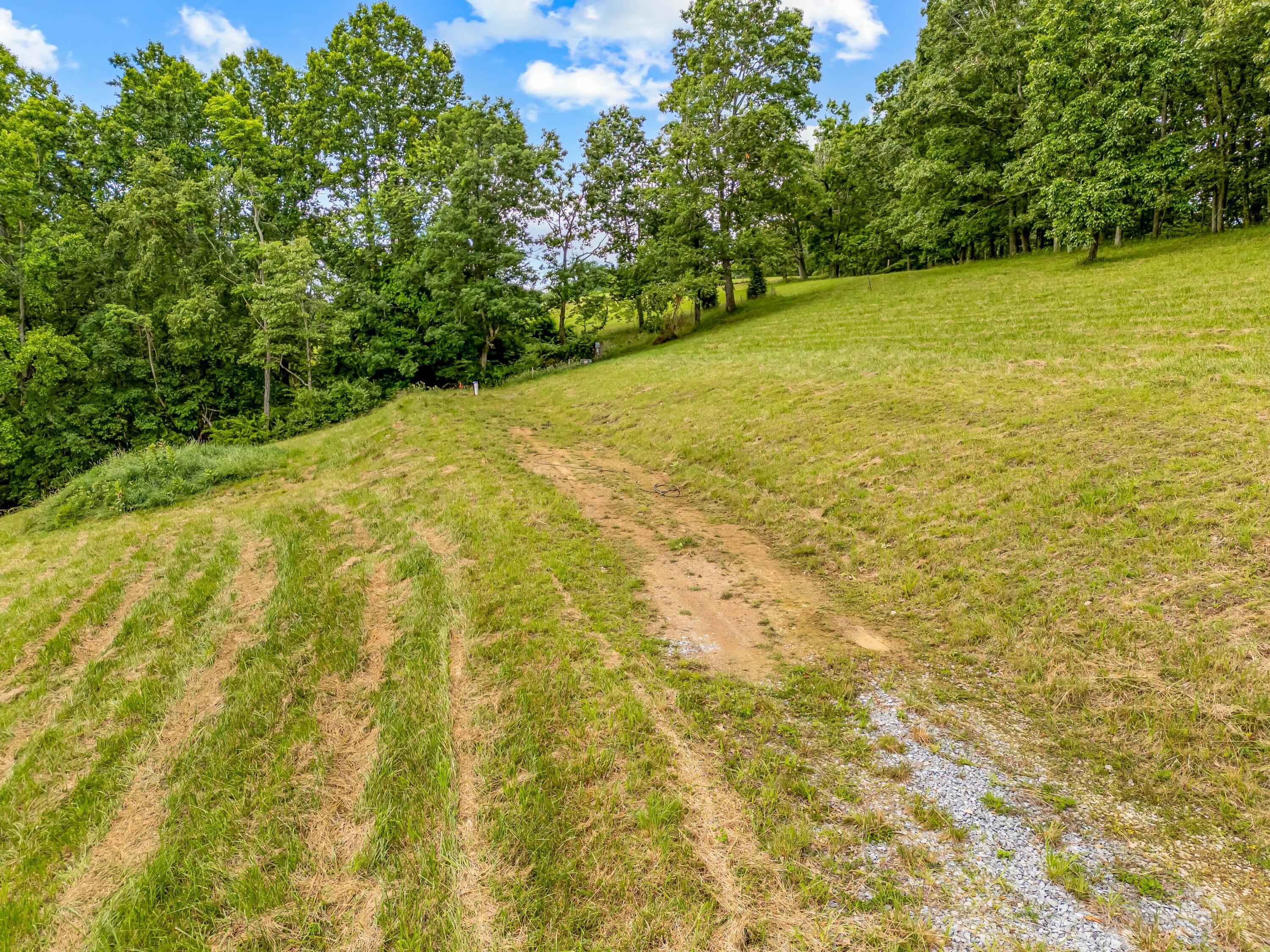 133 Wonder Way Northeast Pilot, VA 24138 - Photo 47 of 57 a view of yard with swimming pool and green space