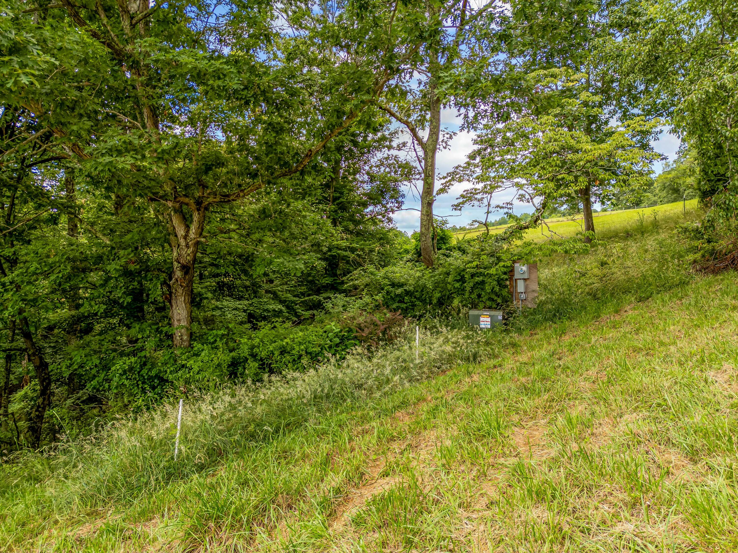 133 Wonder Way Northeast Pilot, VA 24138 - Photo 49 of 57 floyd-71