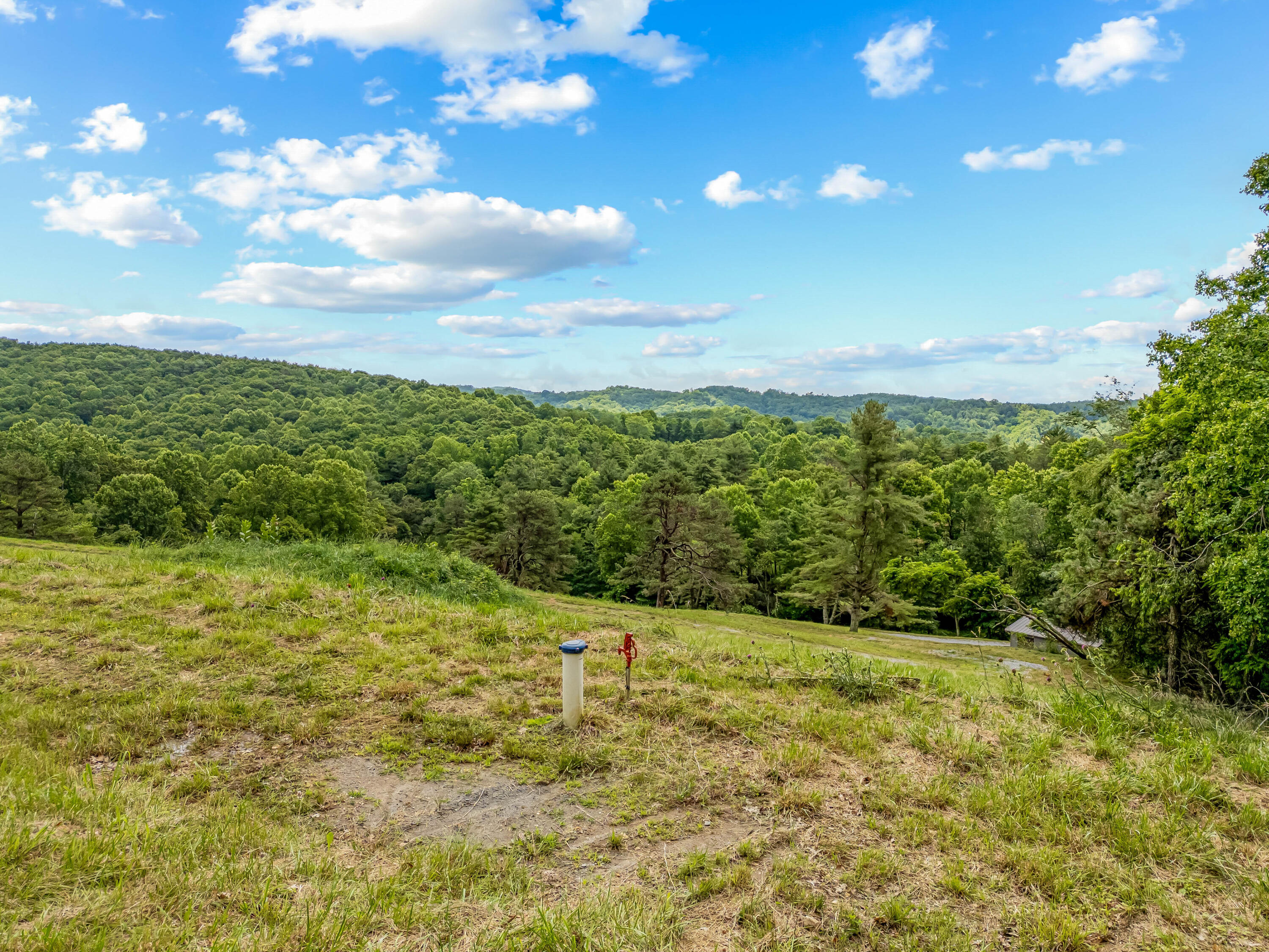 133 Wonder Way Northeast Pilot, VA 24138 - Photo 50 of 57 a view of yard with green space