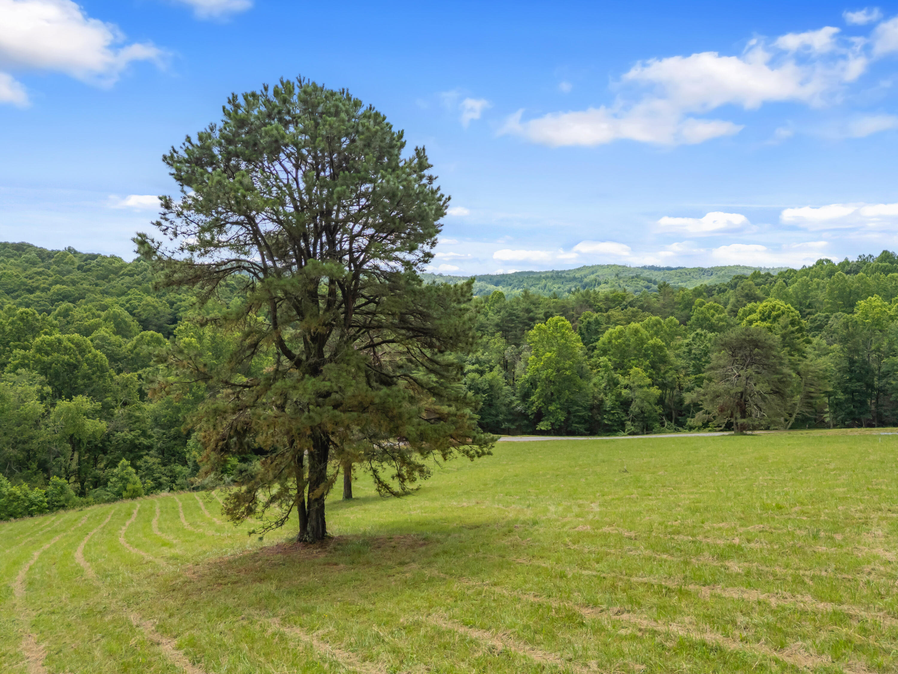 133 Wonder Way Northeast Pilot, VA 24138 - Photo 52 of 57 a view of an outdoor space and a yard