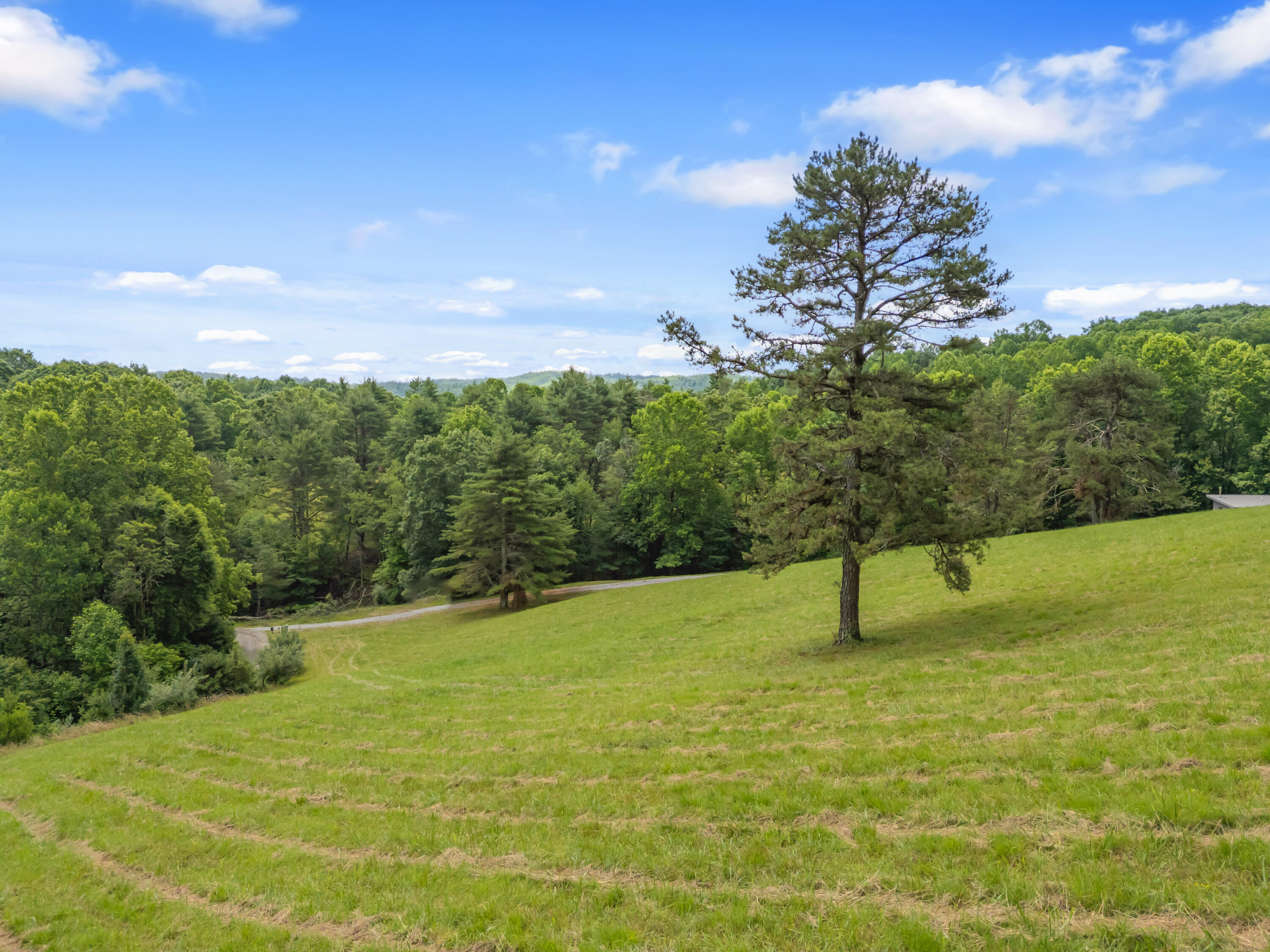 133 Wonder Way Northeast Pilot, VA 24138 - Photo 53 of 57 a view of an outdoor space and a yard