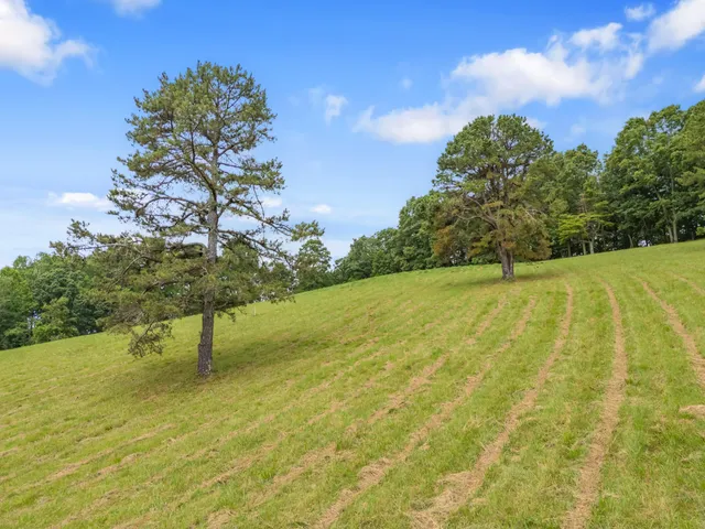 $349,000 | 133 Wonder Way Northeast, Pilot, VA 24138