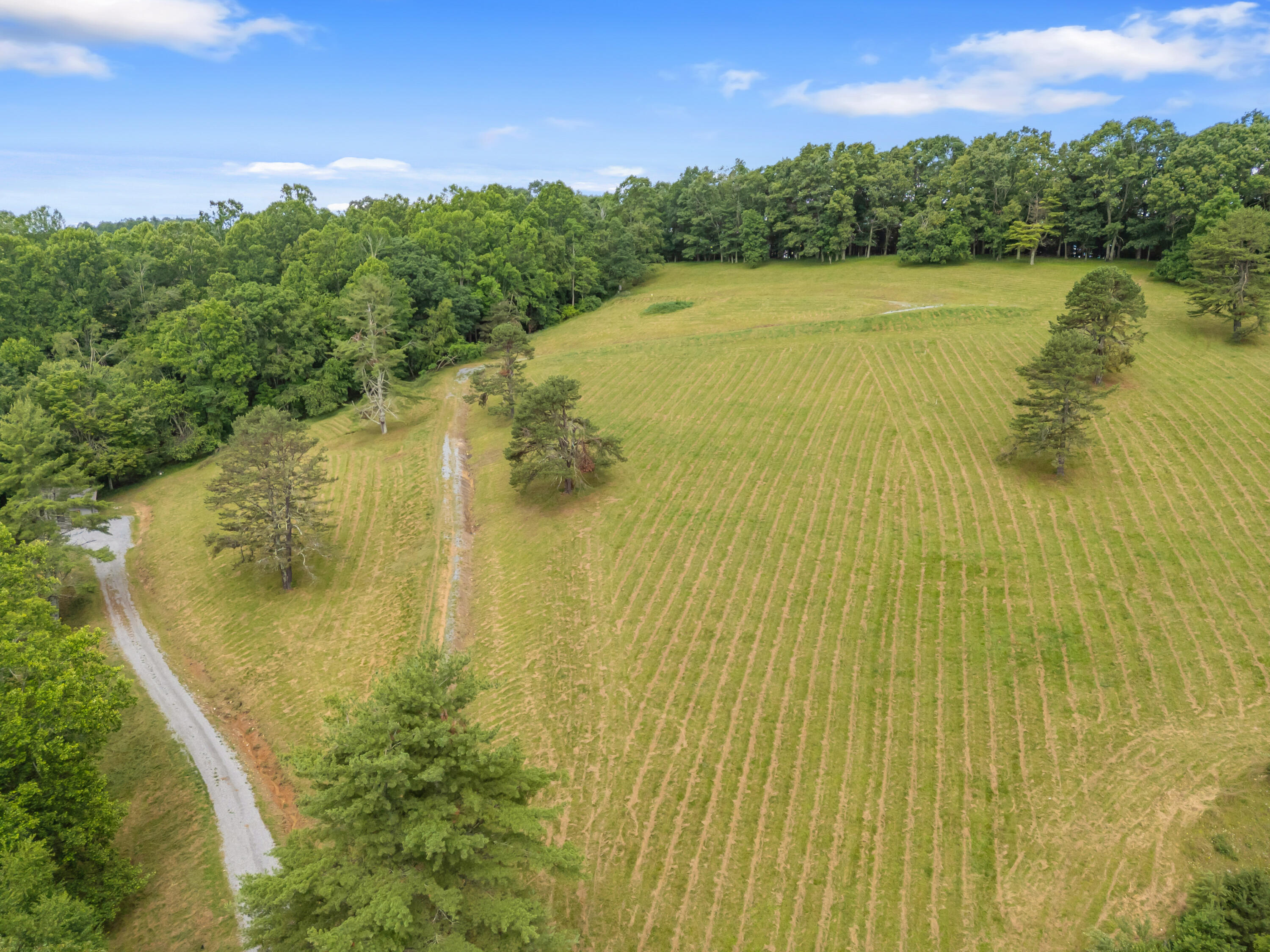 133 Wonder Way Northeast Pilot, VA 24138 - Photo 55 of 57 a view of a lake with a yard