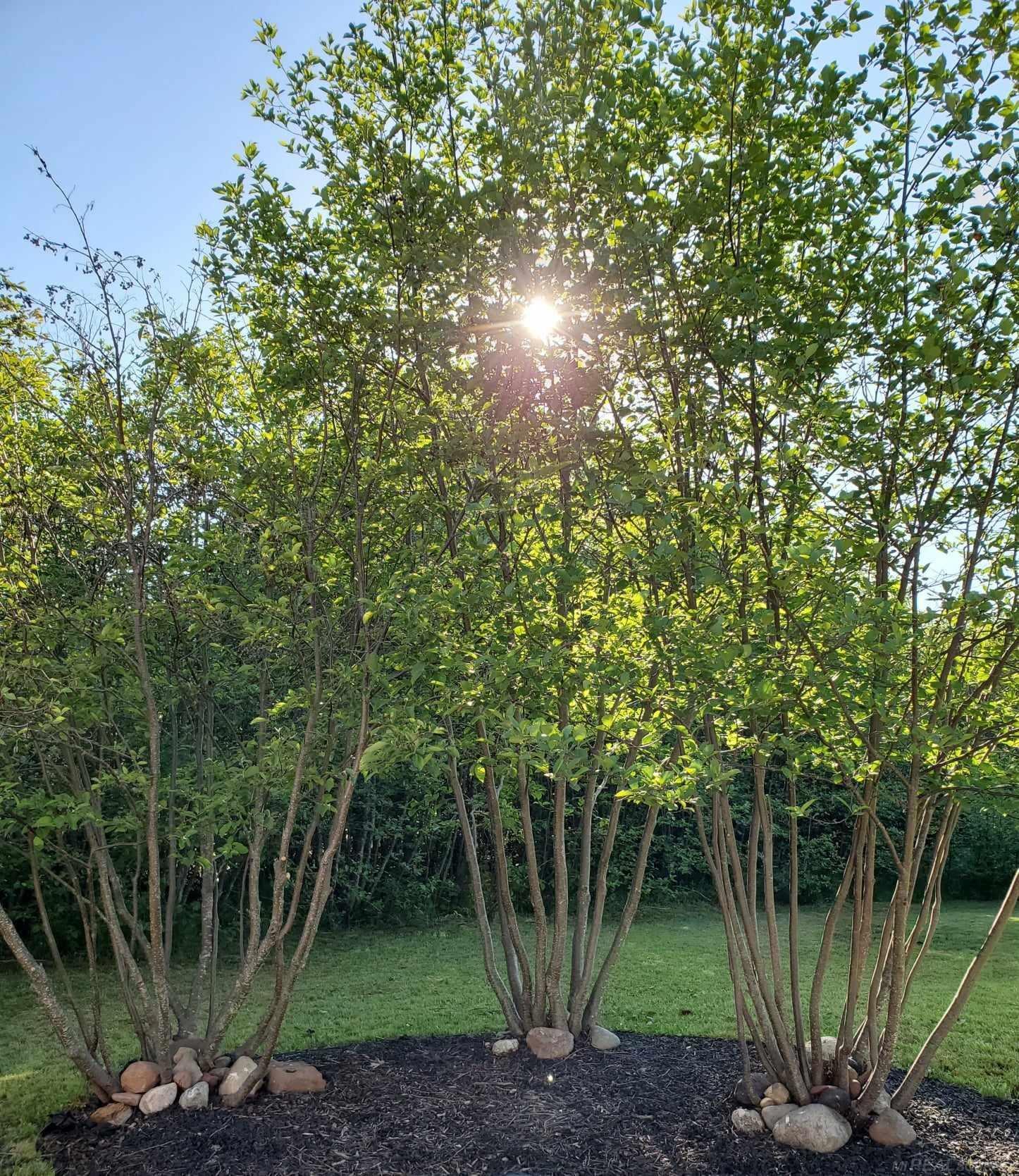 33884 Rice Lake Road Lake Linden, MI 49945 - Photo 20 of 24 50143116-09128c7f-c7ff-4c3a-8333-e8dabc0afc74.JPG