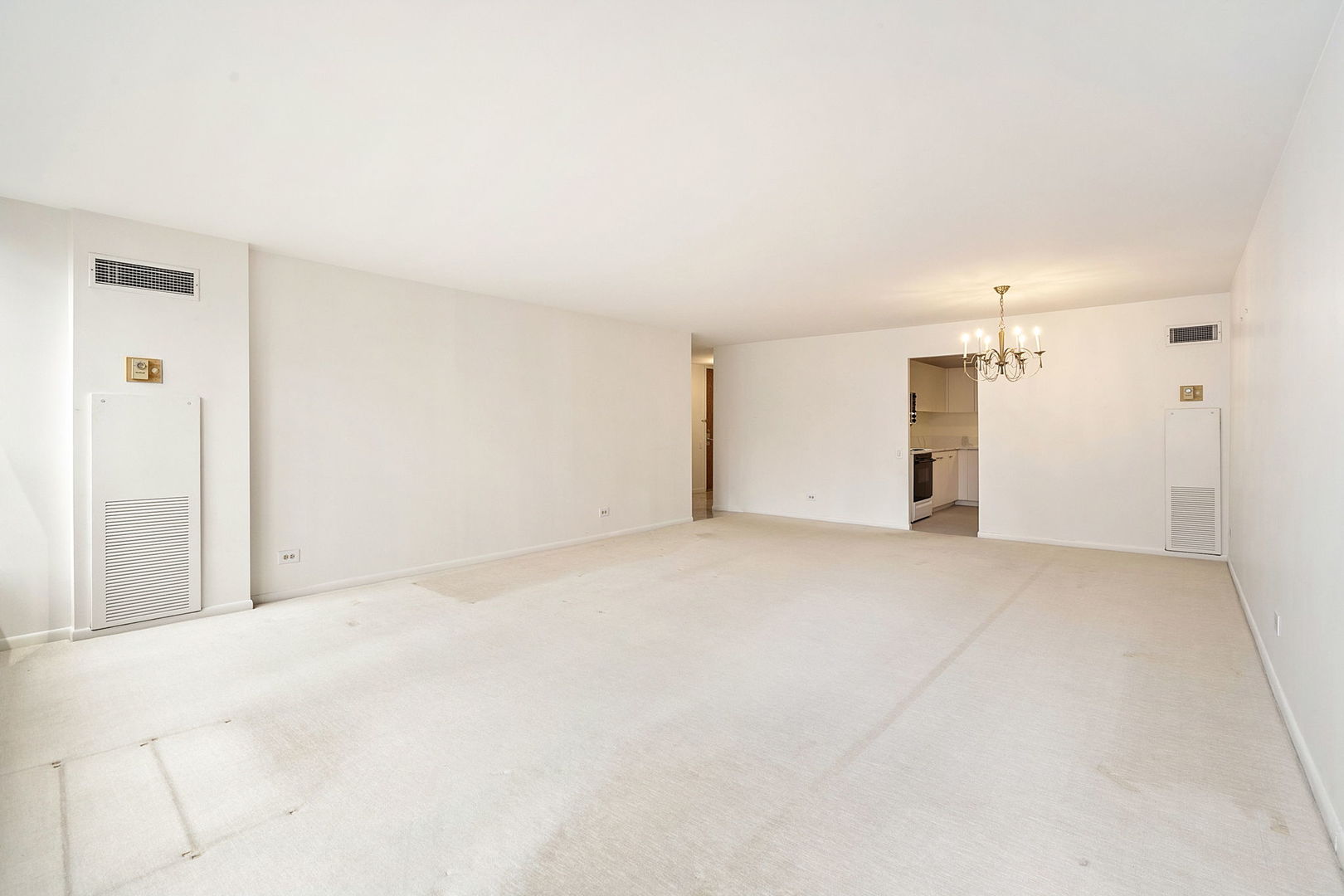 110 East Delaware Place, Unit 704 Chicago, IL 60611 - Photo 5 of 19