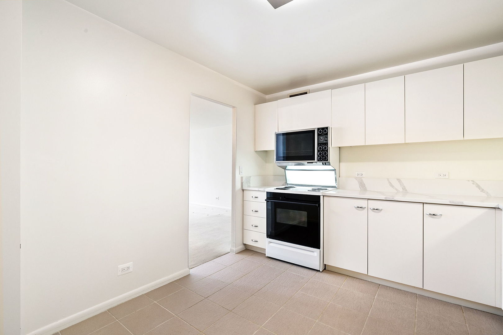 110 East Delaware Place, Unit 704 Chicago, IL 60611 - Photo 7 of 19