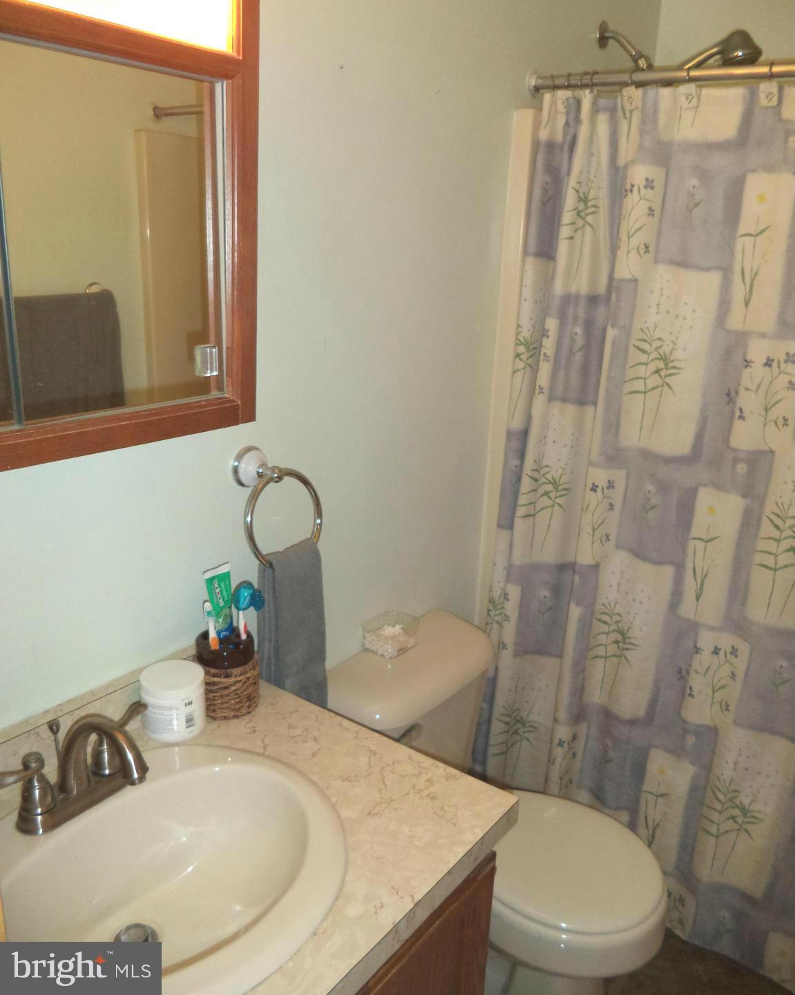 87 Shenandoah Ranch Road Harpers Ferry, WV 25425 - Photo 11 of 24 Bath (Master)