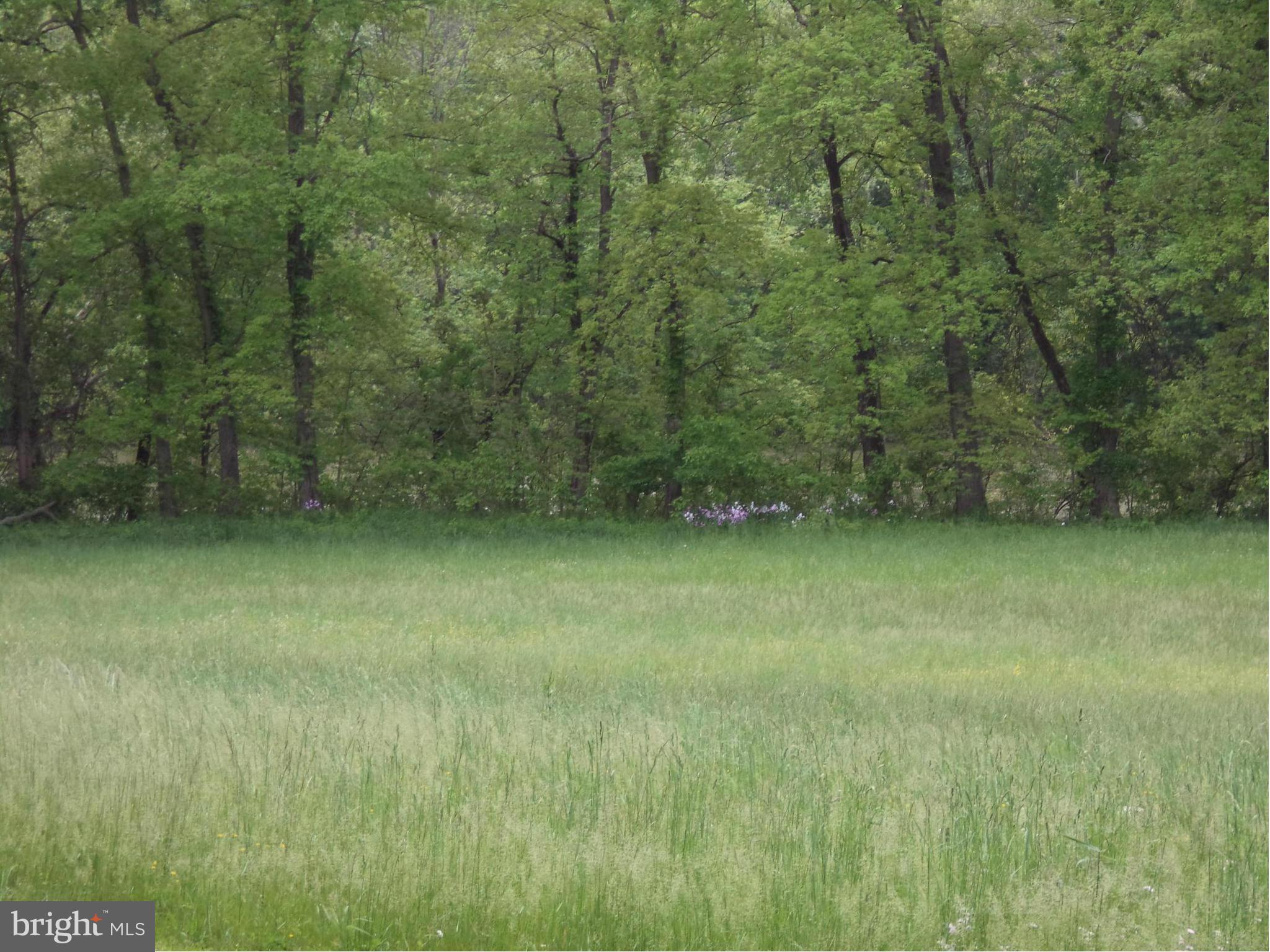 87 Shenandoah Ranch Road Harpers Ferry, WV 25425 - Photo 22 of 24 Common area for Shenandoah River use