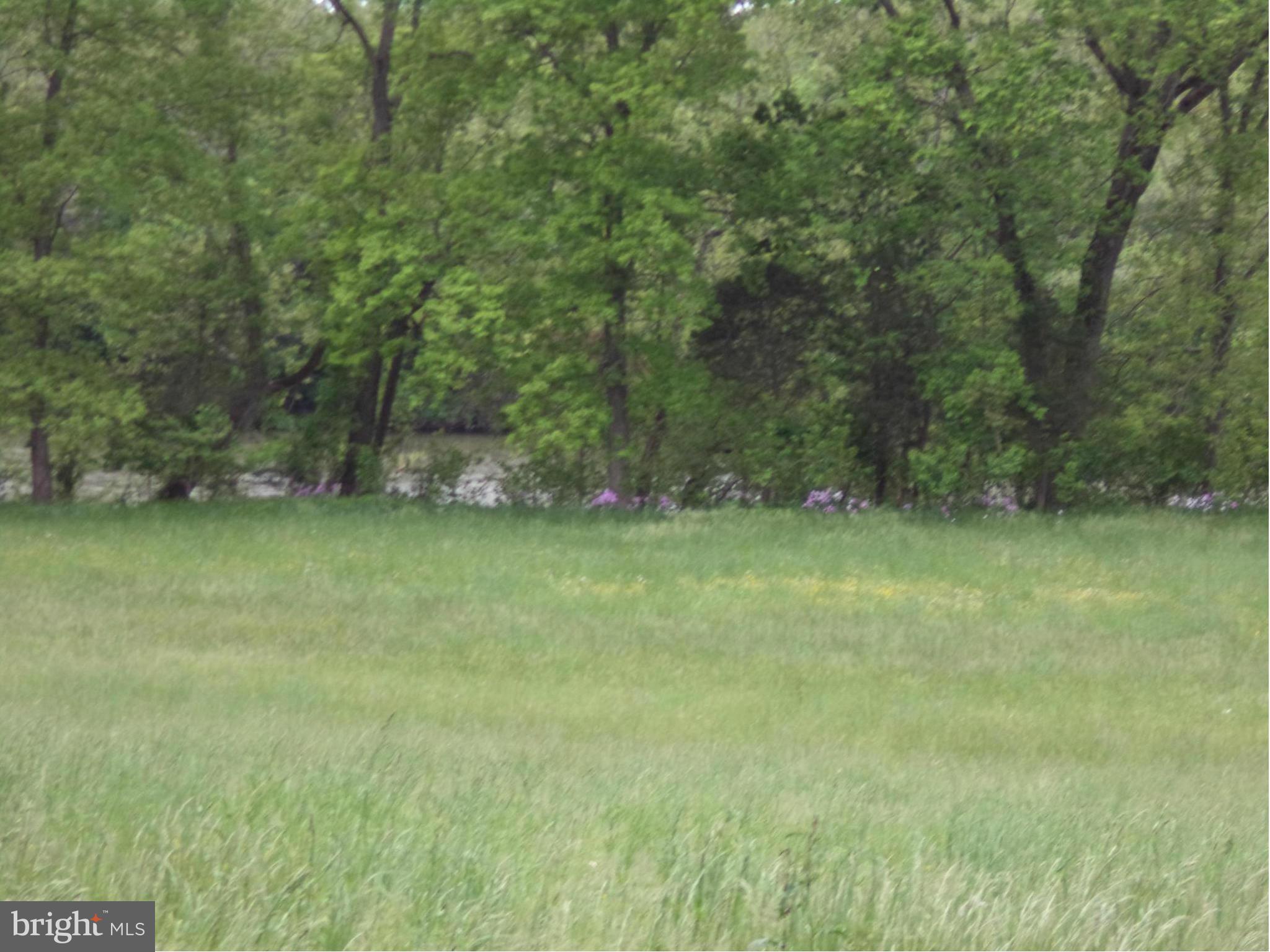 87 Shenandoah Ranch Road Harpers Ferry, WV 25425 - Photo 24 of 24 View of river from common area
