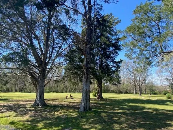 $225,000 | 1528 Highway 8, Sicily Island, LA 71368