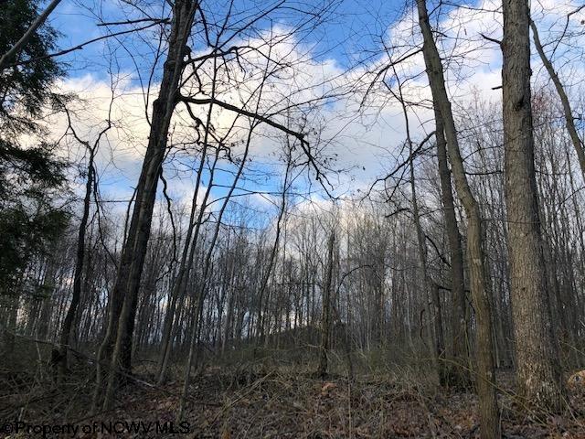 2500 Harmony Grove Road Albright, WV 26519 - Photo 1 of 6 Gallery Image 1
