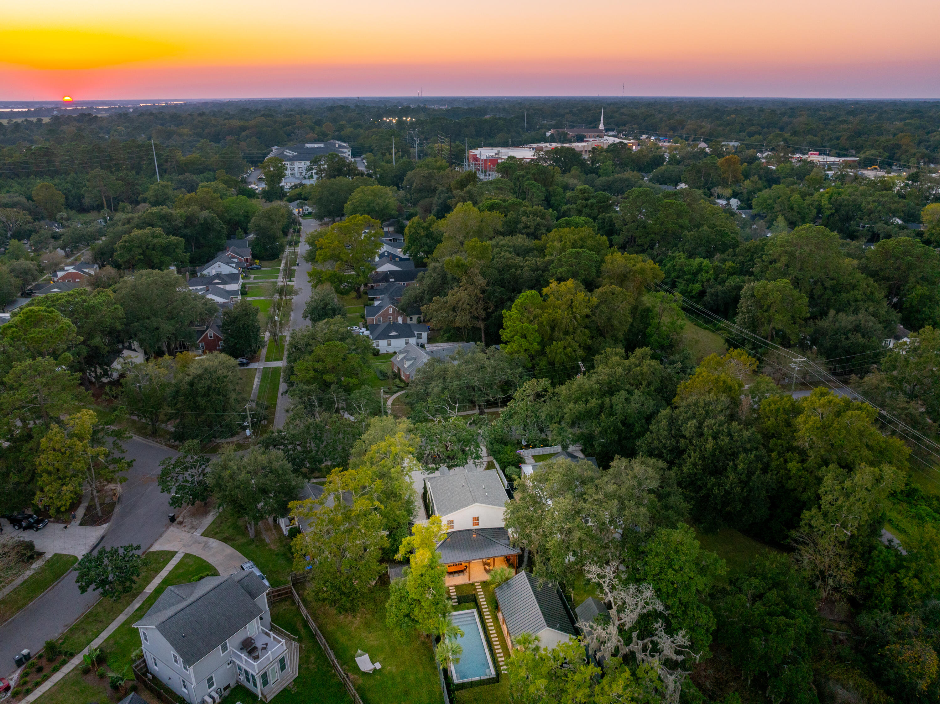 38 Nicholson Street Charleston, SC 29407 - Photo 79 of 81 Birds Eye view