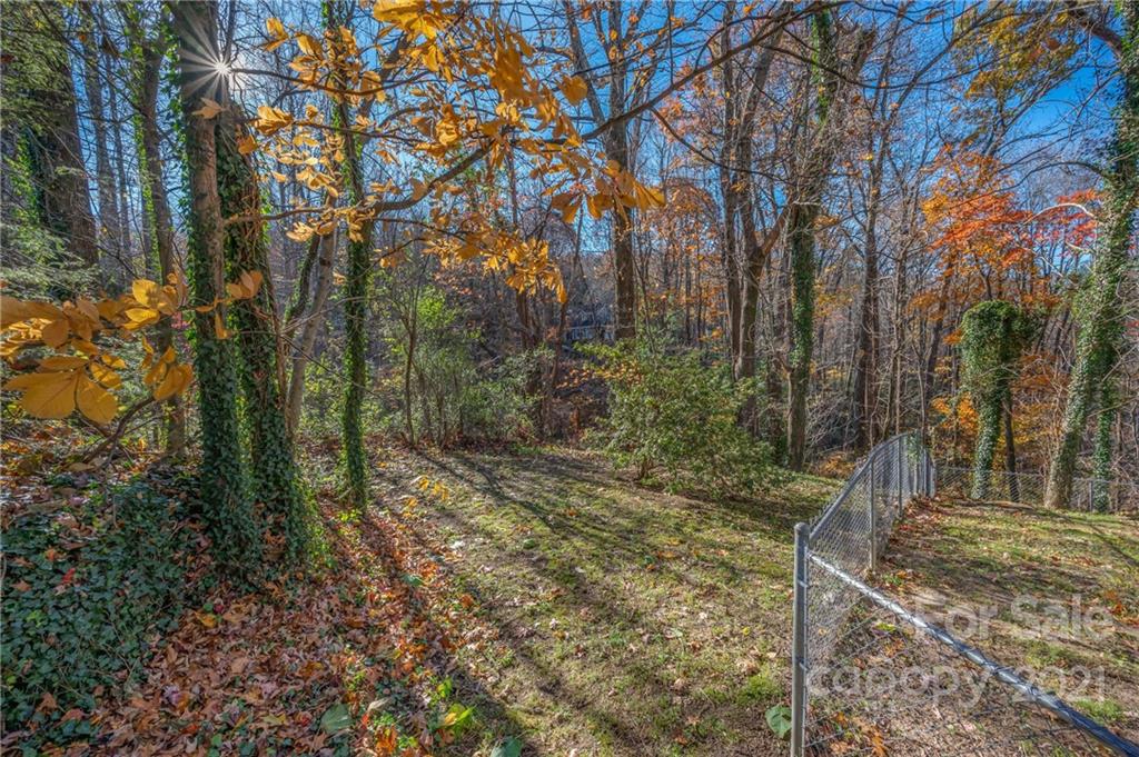 124 Frost Road Saluda, NC 28773 - Photo 7 of 38 Gallery Image 7