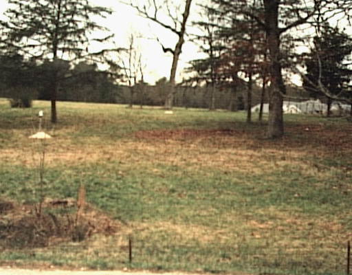 1711 Morris Hill Road Chattanooga, TN 37421 - Photo 1 of 1 Primary Photo
