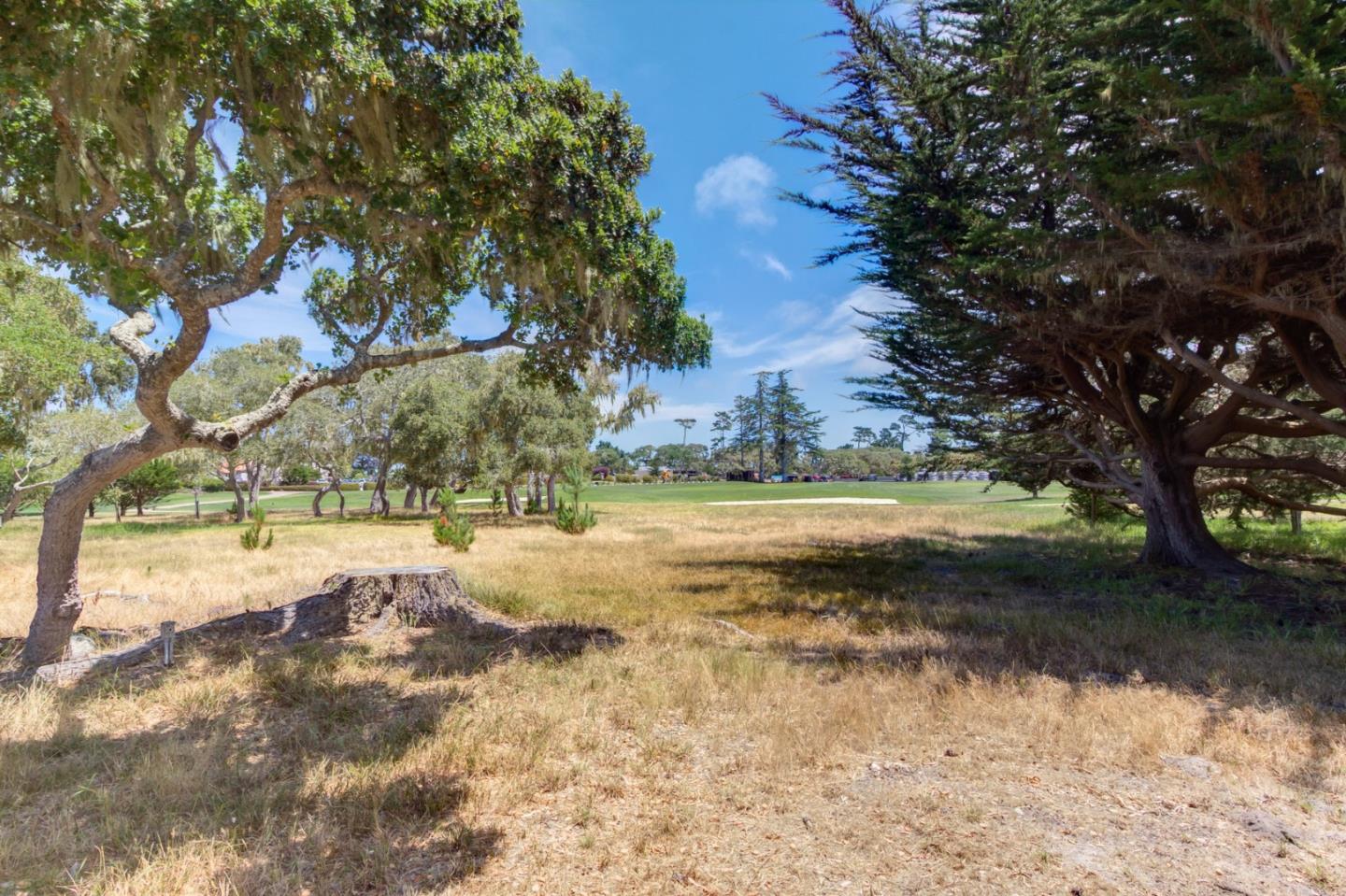 1077 San Carlos Road Pebble Beach, CA 93953 - Photo 10 of 30 Gallery Image 10