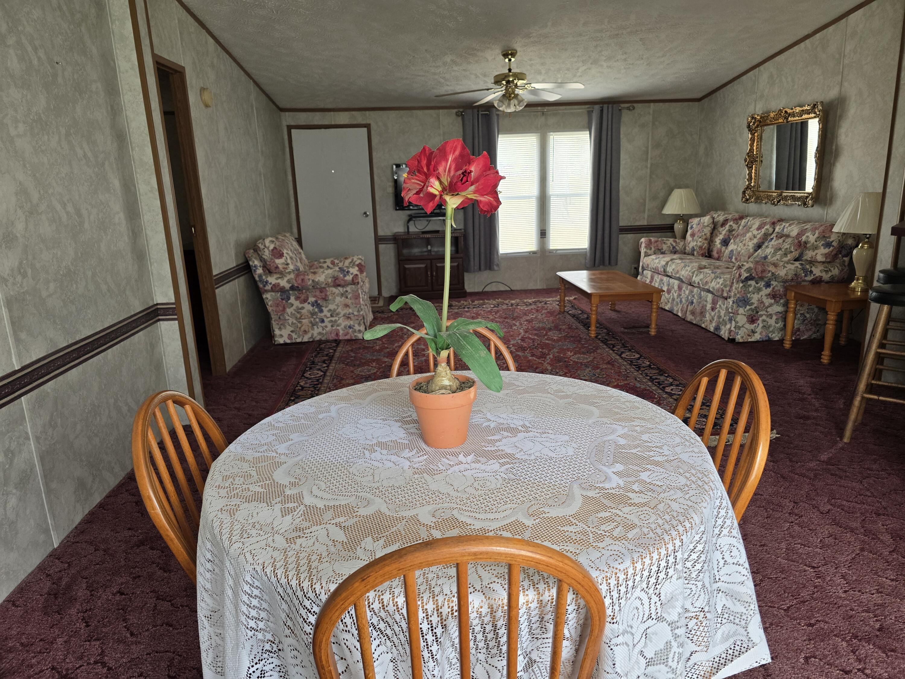 248 Gardner Road Blackville, SC 29817 - Photo 13 of 51 Gallery Image 13