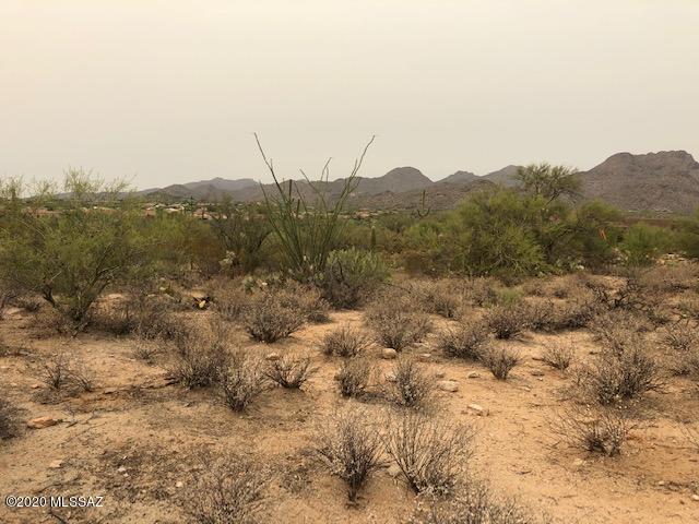 6481 West Ina Road, Unit 4 Tucson, AZ 85743 - Photo 14 of 14