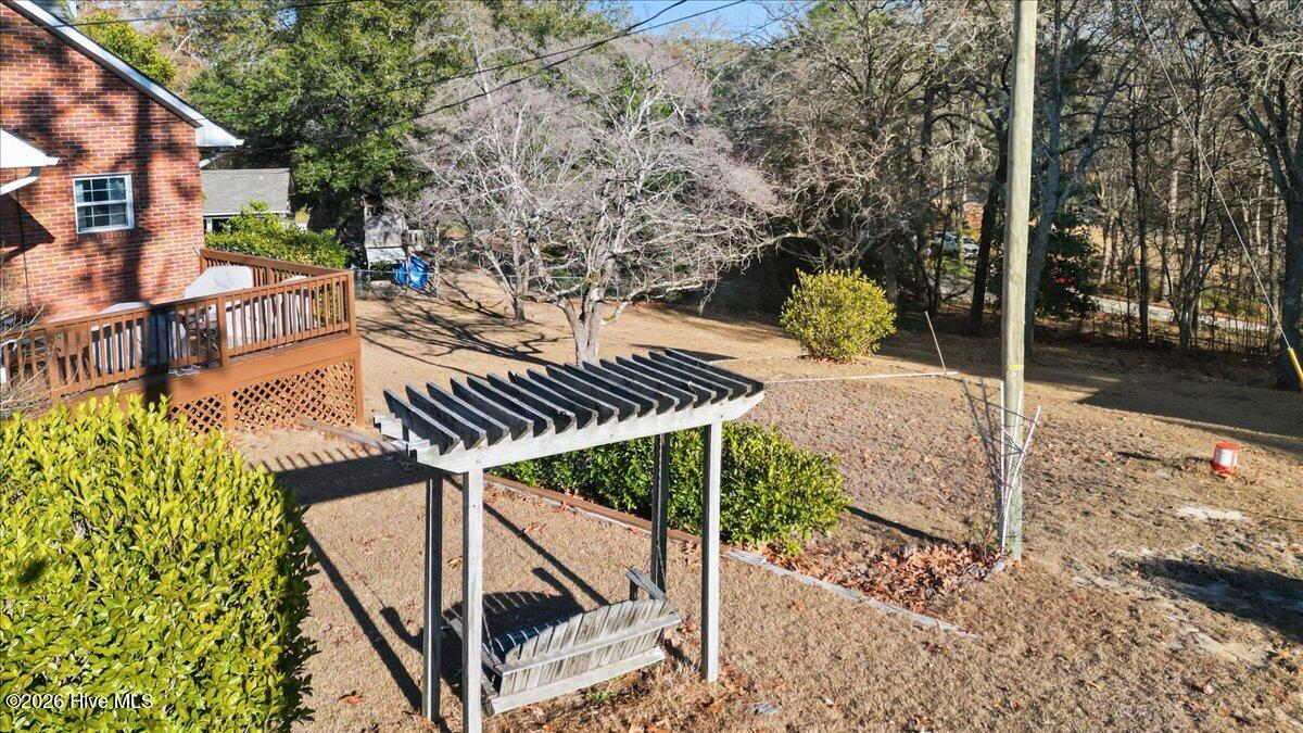 909 Austin Street Hamlet, NC 28345 - Photo 27 of 32 aerial side view