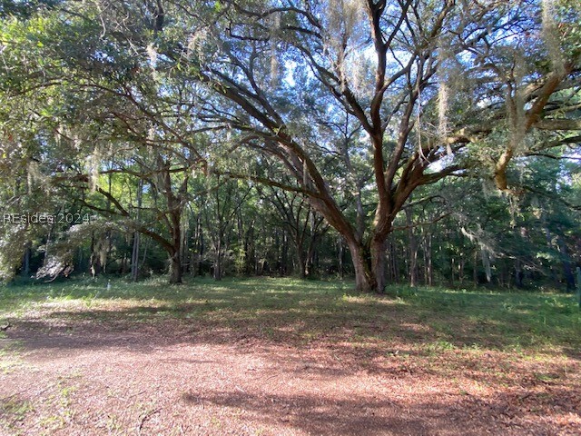 51 Mary Smalls Road St. Helena Island, SC 29920 - Photo 1 of 1