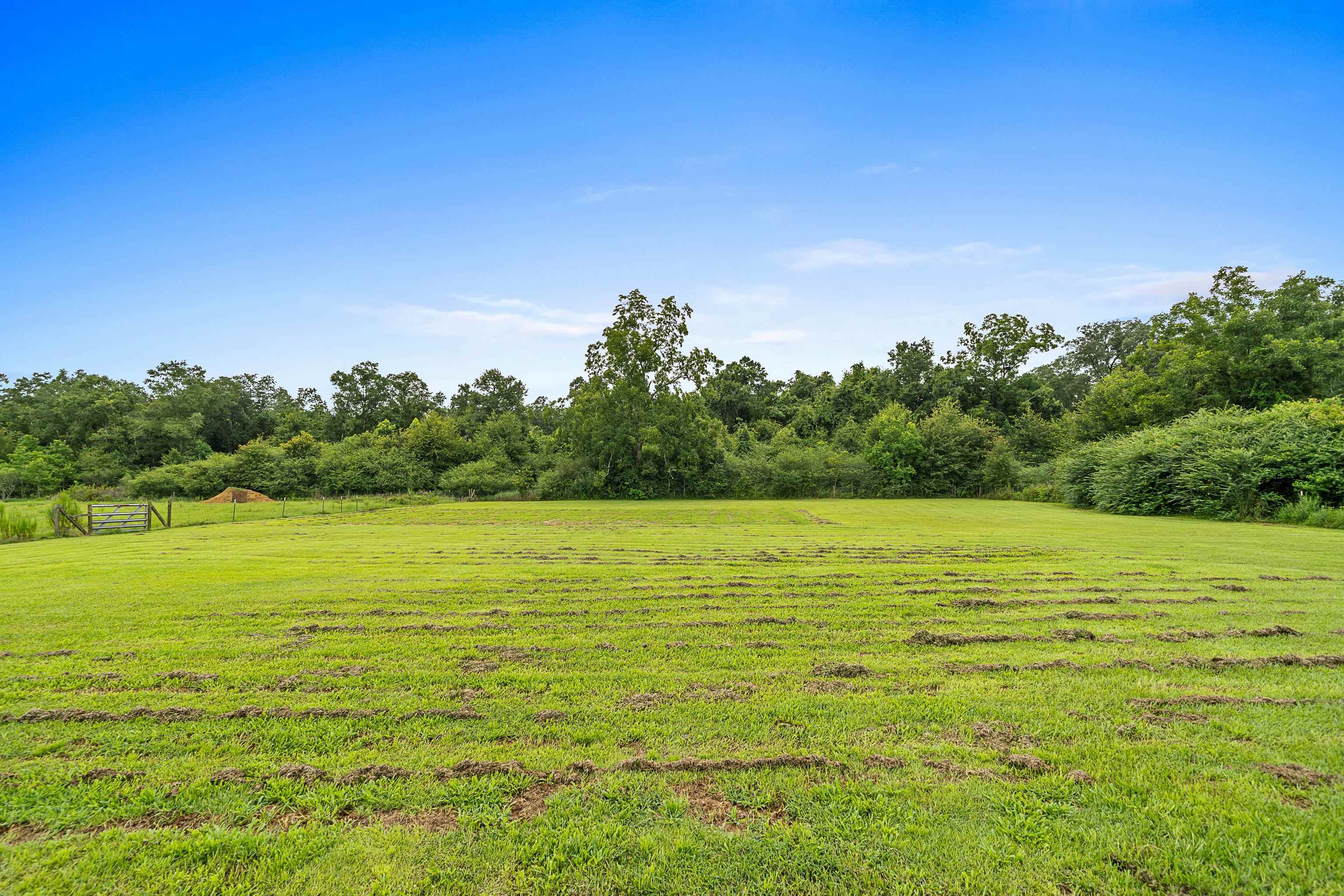 25212 Reeves Lane Elberta, AL 36530 - Photo 28 of 28 Yard