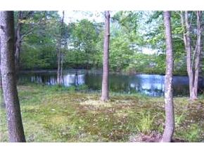 59 Fremont Road Chester, NH 03036 - Photo 3 of 9