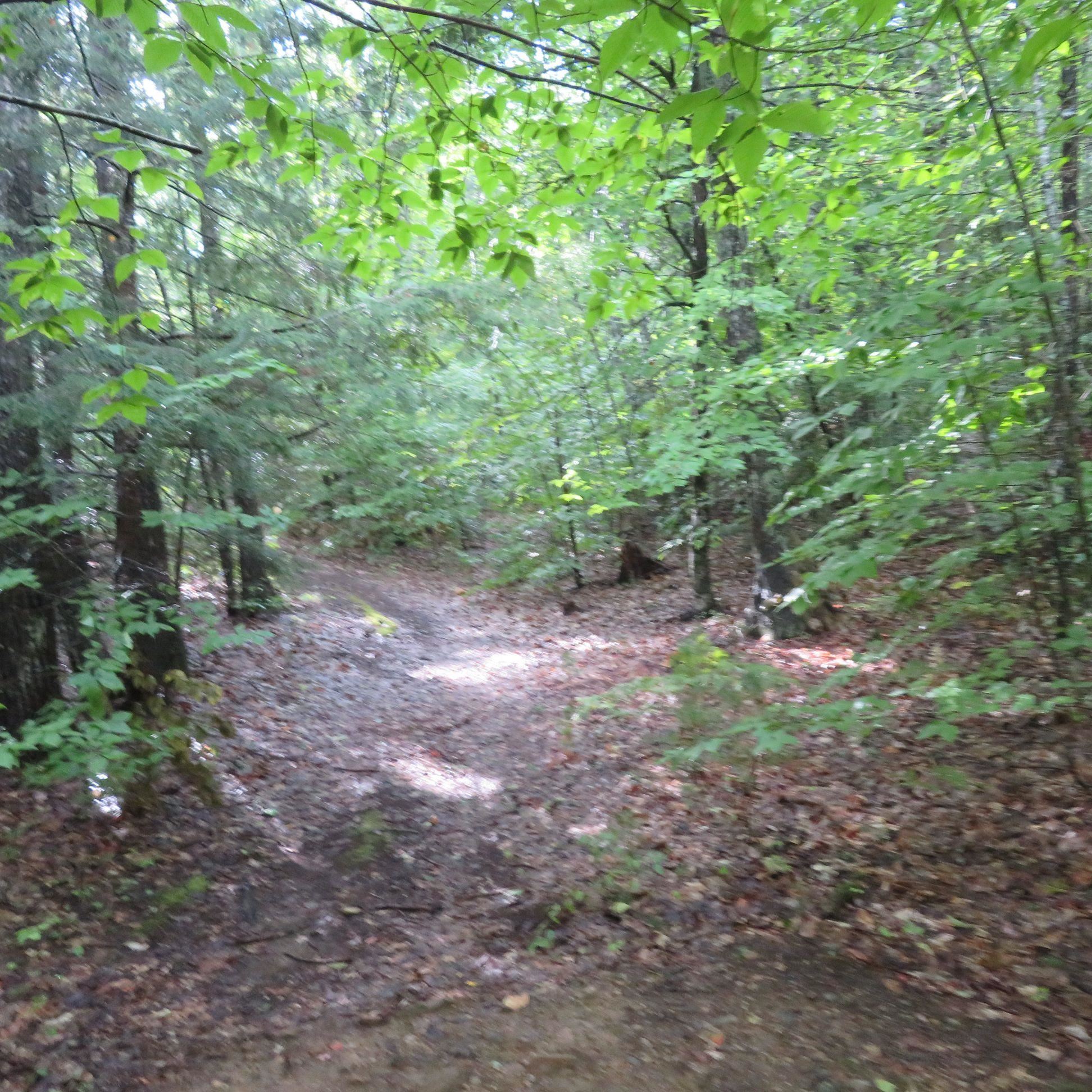0 Intervale Road Gilford, NH 03249 - Photo 4 of 8 Gallery Image 4