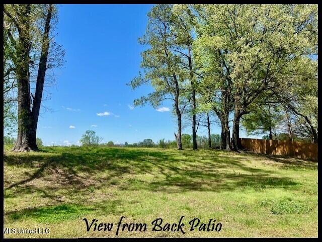 3445 Scott Road Hernando, MS 38632 - Photo 52 of 54 3445 SCOTT - VIEW FROM BACK PORCH