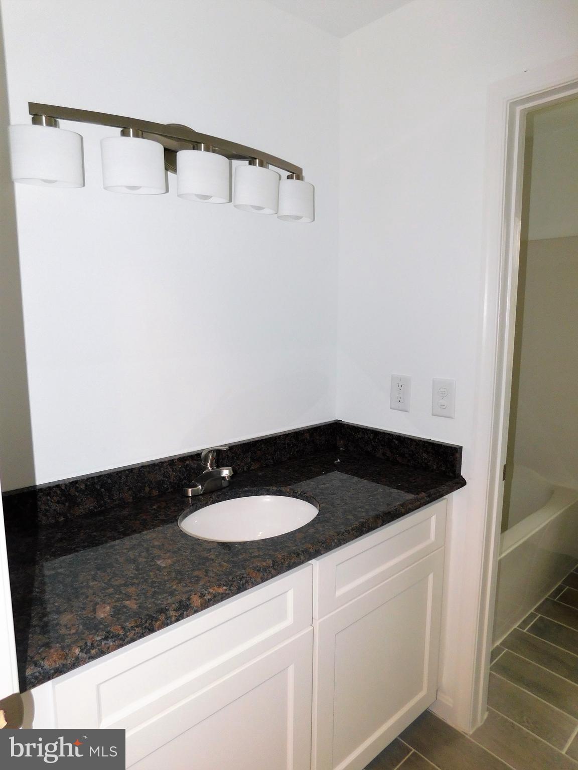 2 Whaleys Road Delmar, DE 19940 - Photo 27 of 28 a close view of sink and tap