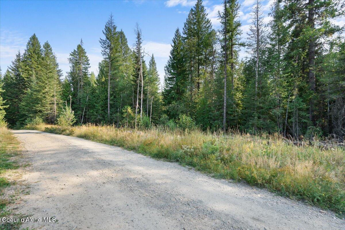 Nna Beaver Pond Trail Priest River, ID 83856 - Photo 3 of 18 18-Front views