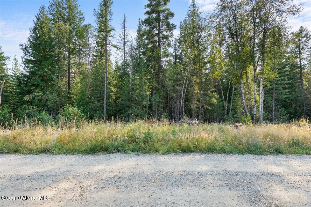 Nna Beaver Pond Trail Priest River, ID 83856 - Photo 4 of 18 17-Front views
