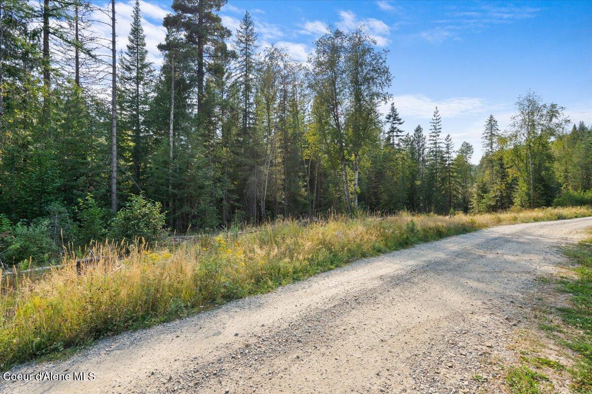 Nna Beaver Pond Trail Priest River, ID 83856 - Photo 5 of 18 16-Driveway
