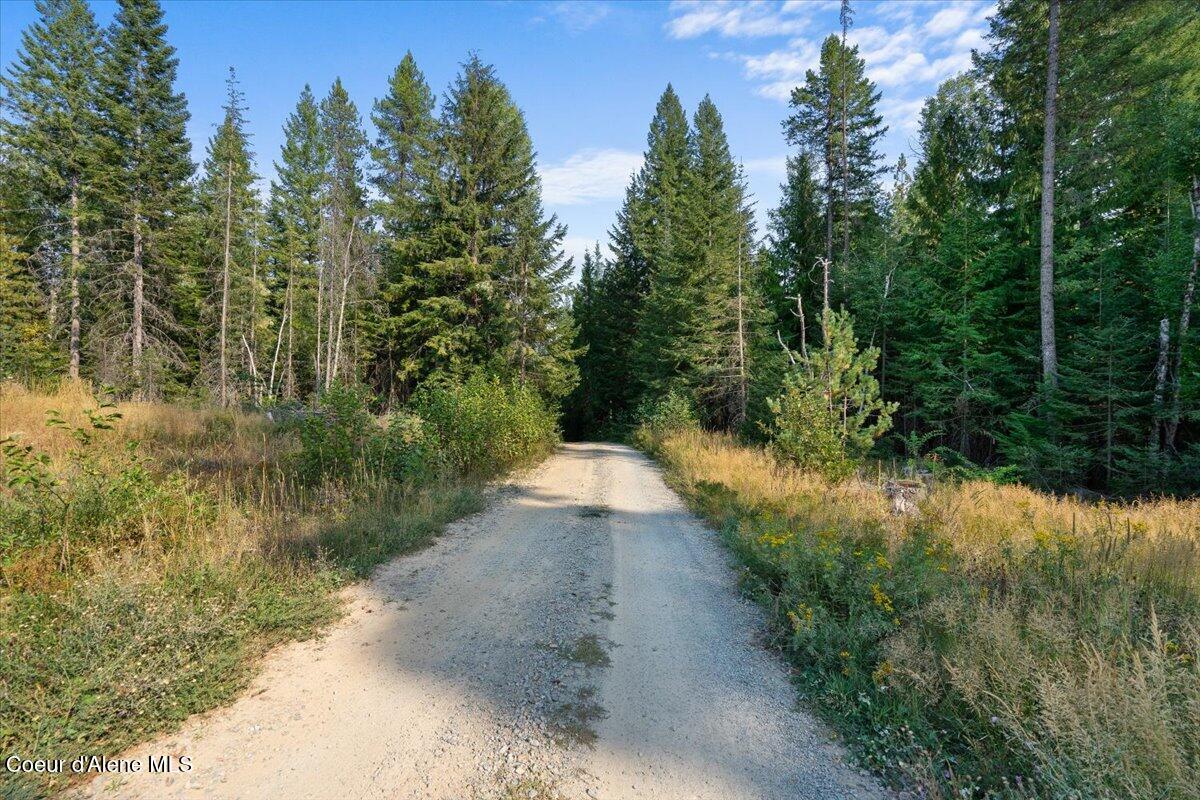 Nna Beaver Pond Trail Priest River, ID 83856 - Photo 6 of 18 15-Driveway