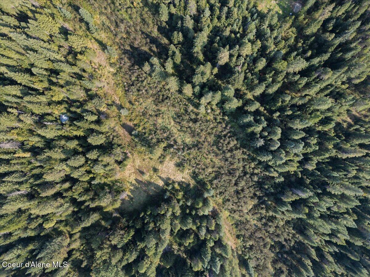 Nna Beaver Pond Trail Priest River, ID 83856 - Photo 7 of 18 11-Aerial birds eye