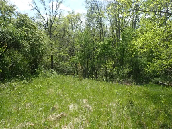 $500,000 | 8151 State Road 48, Aurora, IN 47001