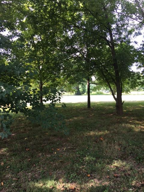 5236 Betts Road Greenbrier, TN 37073 - Photo 20 of 20 Gallery Image 20