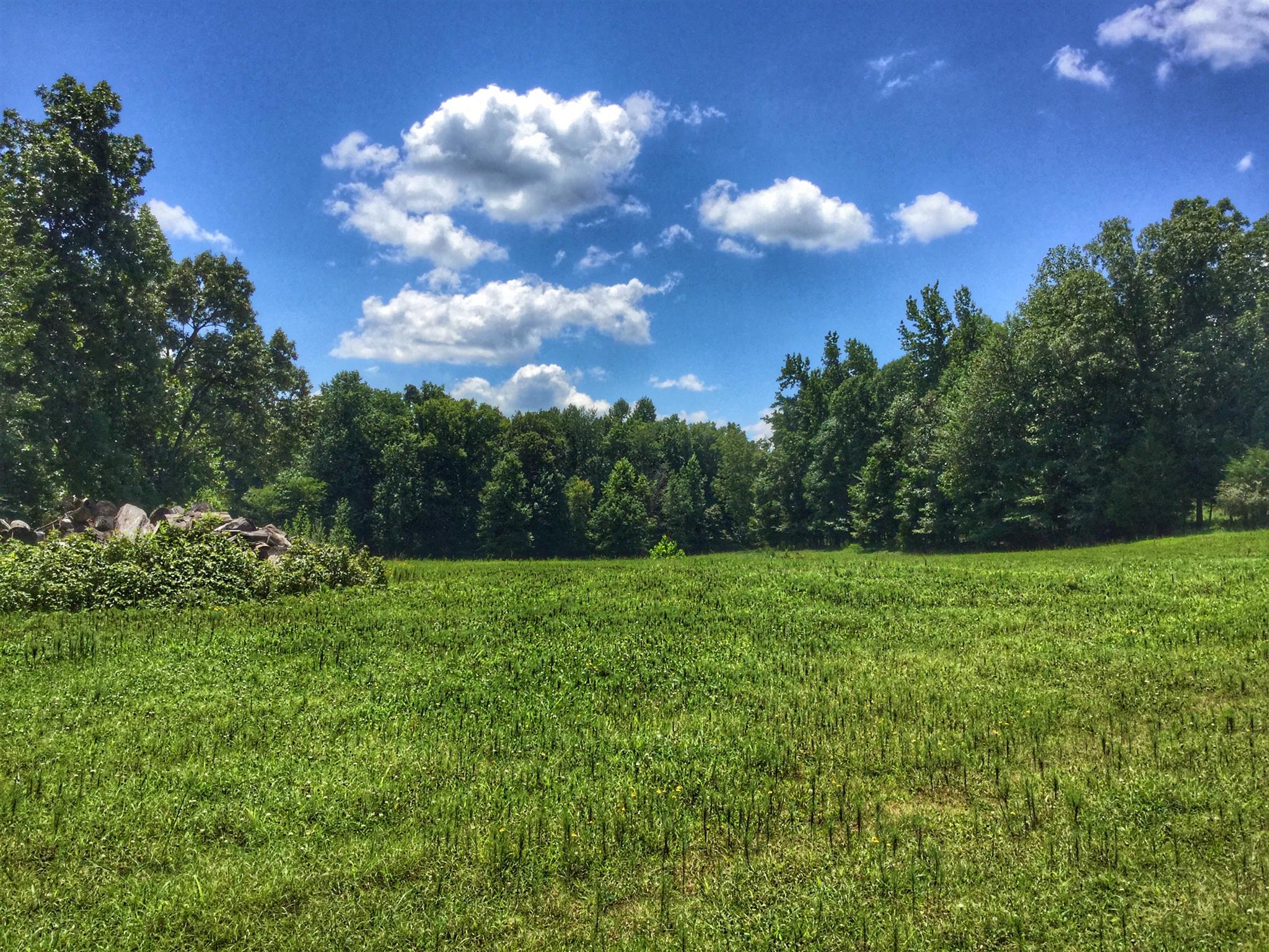 61 Hayes Ridge Road Indian Mound, TN 37079 - Photo 11 of 30 Gallery Image 11