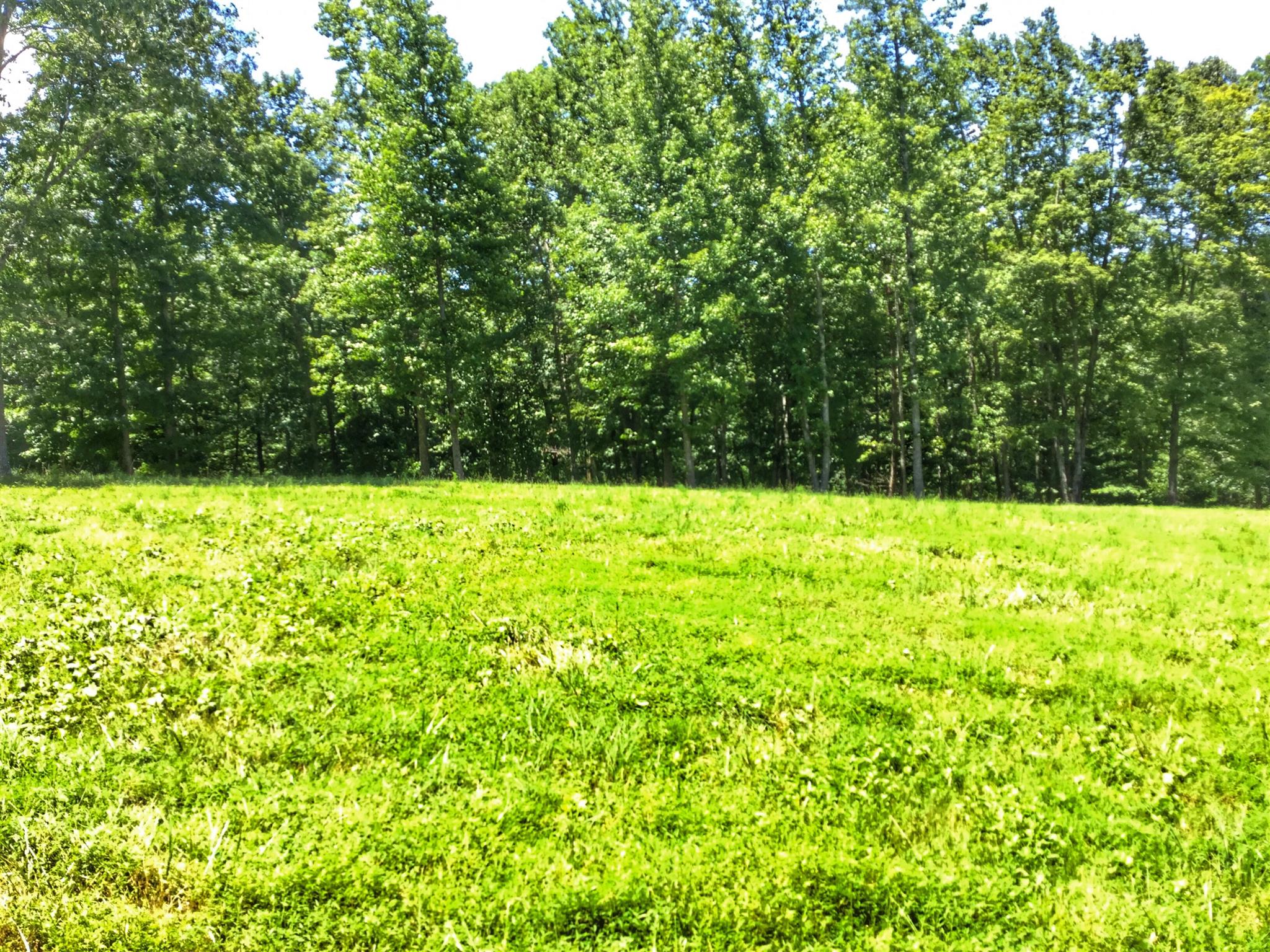 61 Hayes Ridge Road Indian Mound, TN 37079 - Photo 17 of 30 Gallery Image 17