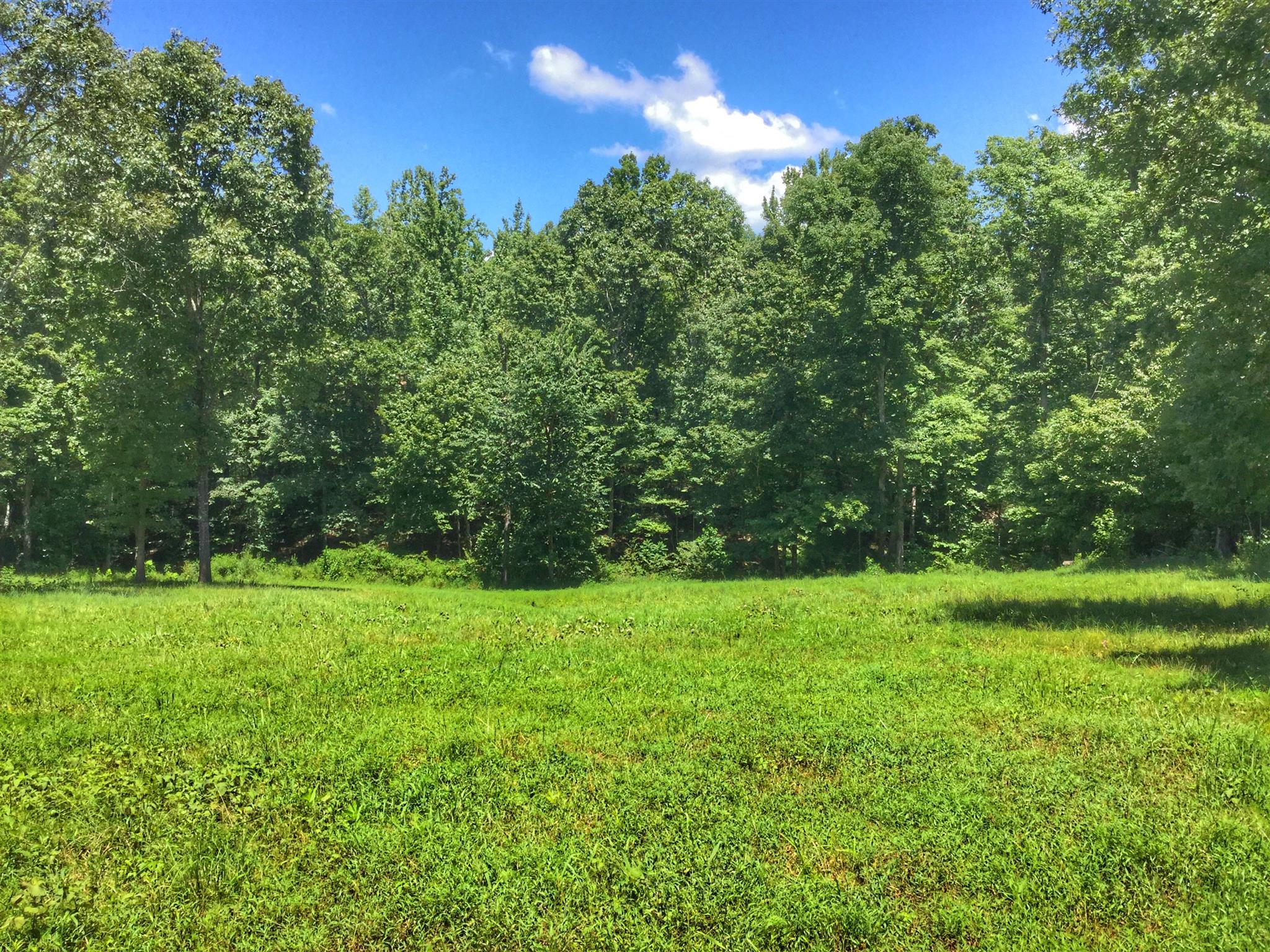 61 Hayes Ridge Road Indian Mound, TN 37079 - Photo 18 of 30 Gallery Image 18