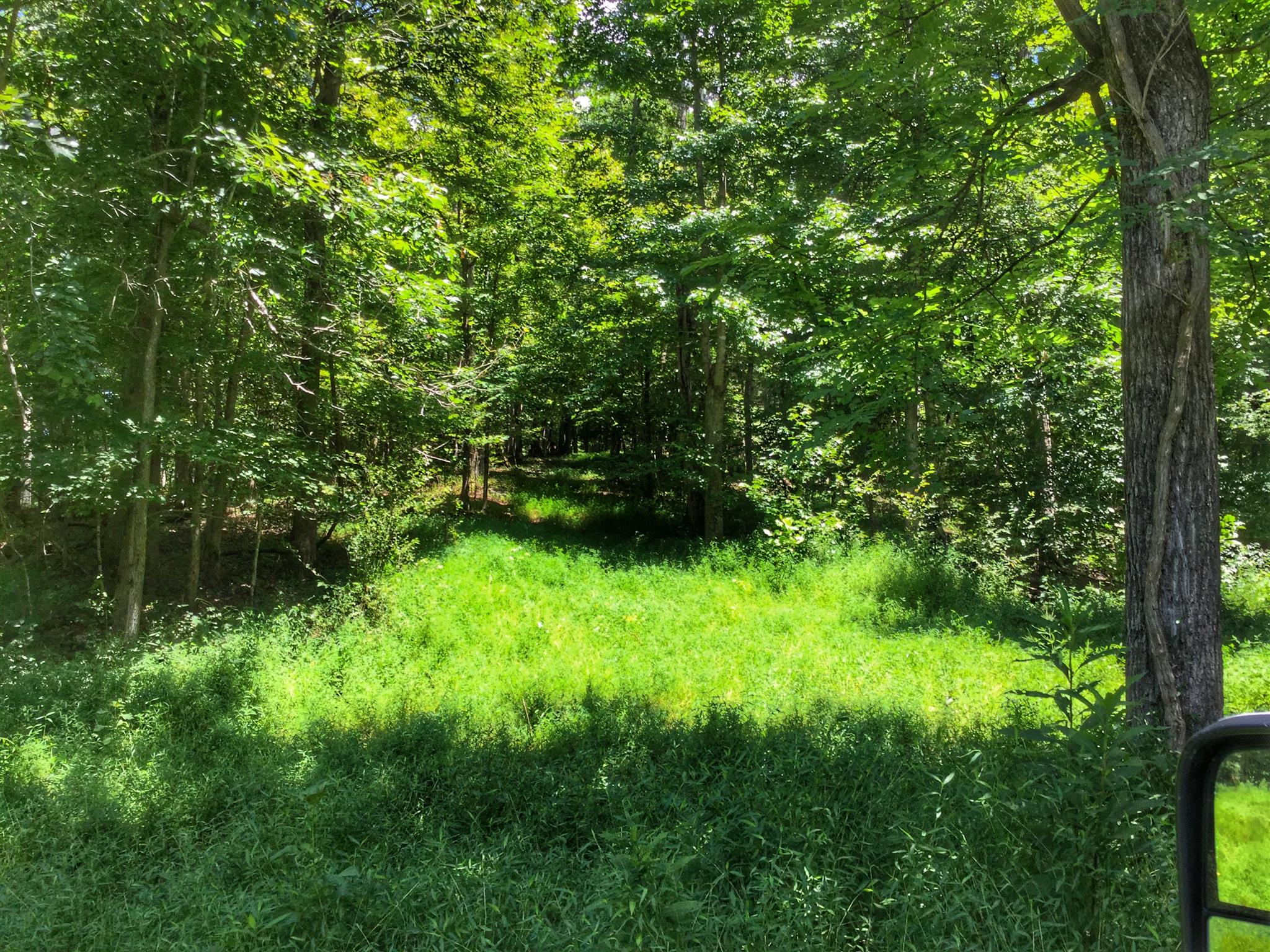 61 Hayes Ridge Road Indian Mound, TN 37079 - Photo 20 of 30 Gallery Image 20